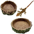2 Pack Small Reptile Food Bowls, Reptile Feeding Terrarium Bowls for Bearded Dragon Lizard Frog Gecko Tortoise Hermit Crab Snail (Brown B) - color: Brown - 2 Pack S+M Bowls