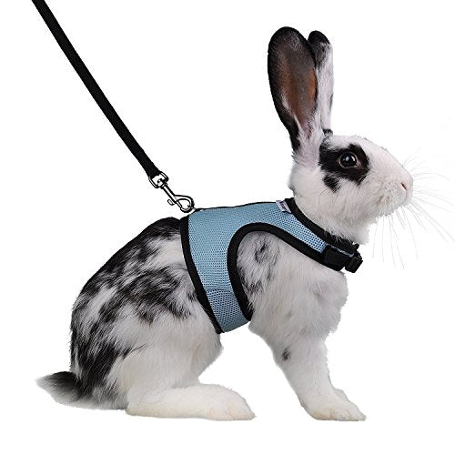 Niteangel Adjustable Soft Harness with Elastic Leash for Rabbits (XL, Blue) - color: Blue, size: XL