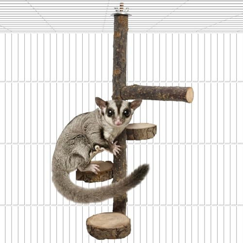 BNOSDM Sugar Glider Toy Natural Fruitwood Round Perch Stand Squirrel Hanging Wooden Climbing Pole Hamster Paw Grinding Perch Small Animal Cage Accessories for Chinchillas Rats Gerbil - color: Applewood - Climbing Platform