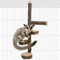 BNOSDM Sugar Glider Toy Natural Fruitwood Round Perch Stand Squirrel Hanging Wooden Climbing Pole Hamster Paw Grinding Perch Small Animal Cage Accessories for Chinchillas Rats Gerbil - color: Applewood - Climbing Platform