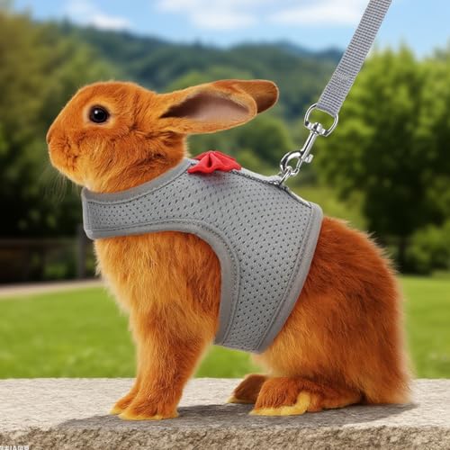 Bunny Harness and Leash Set, Soft Breathable Mesh Rabbit Leash Vest with Safety Buckles, Lightweight Escape-Proof Walking Gear for Rabbits, Kittens, Ferrets, Guinea Pigs, Grey M - color: Grey