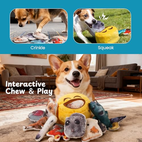 Nocciola Plush Squeaky Dog Toys – 12 Pack Small Dog Chew Toys with Squeakers, Soft Stuffed Puppy Toys with Carry Bag for Small & Medium Dogs - style: 12pcs Funny Toys