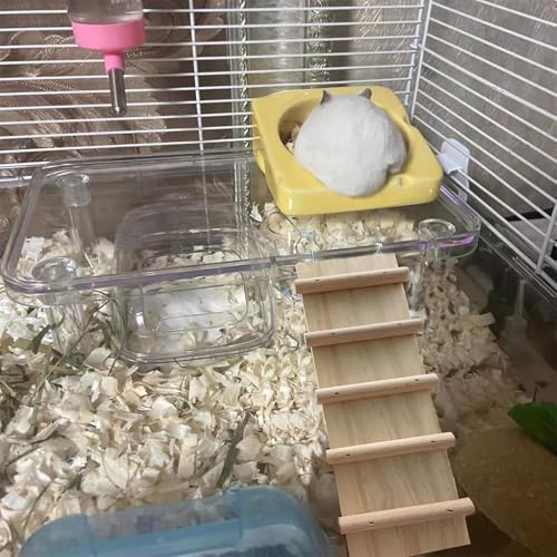 Hamster Platform 4Pcs Acrylic Small Animal Stand Climbing Toy Stuff with Wood Ladder for Dwarf Syrian Hamsters Gerbils Mice Sugar Glider Reptile Bird - color: Transparent(2PCS)