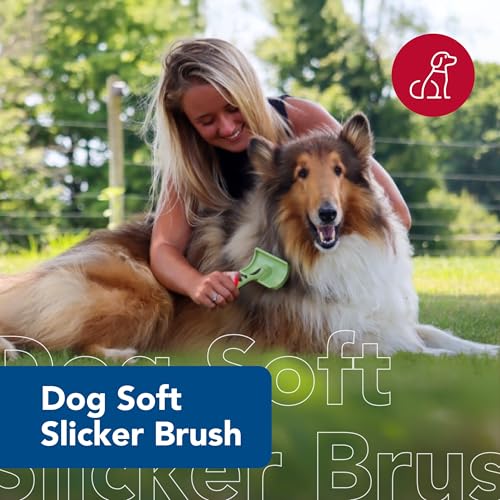 Coastal Pet Safari Dog Soft Slicker Brush - Dog Grooming Brush for Shedding - for Dogs with Short, Medium and Long Hair - Small - 6.5" x 2.5" - size: Small