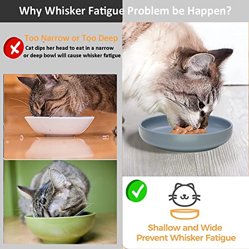 Ceramic Cat Bowls,Shallow Cat Dishes for Food and Water, 6 inch Matte Finish Wide Cat Food Bowl,Whisker Fatigue Free Pet Puppy Kitten Bowl Set of 3,Dishwasher Safe - color: Bluish grey-3pack