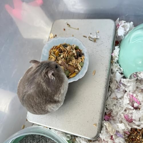 Small Ceramic Pet Hamster Bowl, Easy to Clean Anti Flipping Hamsters Food and Water Bowl, Small Animal Bowls for Dwarf Hamster, Parrots (Green, s) - color: Green, size: s,1pc
