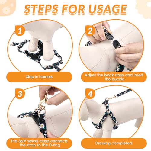 Lukovee Puppy Harness and Leash Set, No Pull Step in Lightweight Mesh Vest | Soft, Reflective, Easy Put on and off, Adjustable, Breathable Air Mesh, with 51in Leash for Walking Hiking (Black, XXS) - color: Black, size: XX-Small (2.2-6 lb)