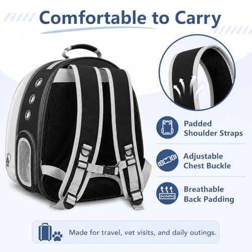 Expandable Cat Carrier Backpack with Bubble Window and Mesh, Black | Anti-collapse frame, breathable mesh, escape-resistant zipper clips and safety leash for vet visits and outdoor travel. - color: Black