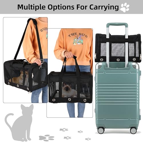 Soft Sided Cat/Dog Carrier，Collapsible Mesh Pets Travel Carriers for Pet/Puppy with Shoulder Strap & Removable Mat，Top Load Small Dogs/Cats Carry Bag Up to 25 Lbs（Black - L） - size: 13.0"L x 13.0"W x 20.0"H