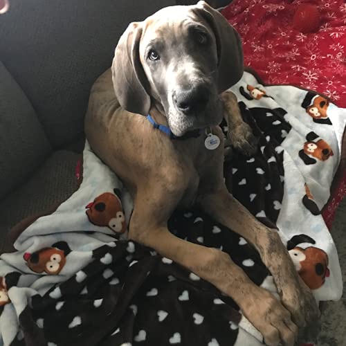Snuggle Puppy Blanket for Pets - Cozy Dog Blanket for Small Dogs - Machine Washable Dog Blanket in Blue - color: Blue
