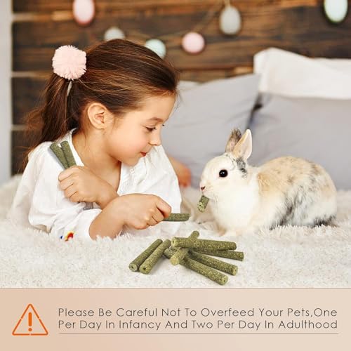 Grddaef 45Pcs Rabbit Toys, 300g Natural Timothy Grass Molar Teeth Stick Chew Toys for Chinchilla Rabbit Bunny Guinea Pig Treats - color: 18 Pcs