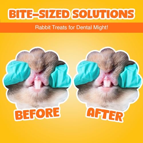 Vila Rabbit Chew Stick, Hanging Treat, Apple Chew Sticks with Round Grass Cakes, Oral Care and Gums, Suitable for Rabbits, Chinchillas, Guinea Pigs and Parrots, 1-Piece