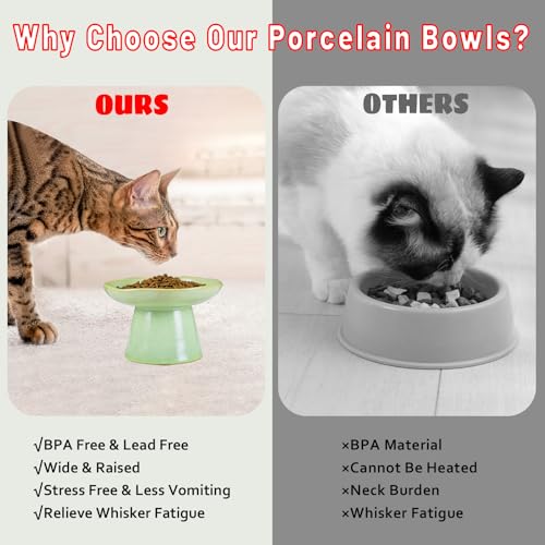 Wide Shallow 6.1" Raised Cat Bowls, Ceramic Elevated Food Bowl for Flat Faced Cats and Small Dogs, Porcelain Feeder Bowl, Stress Free, Protect Cat’s Spine, Green - color: Green-Shallow