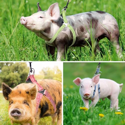 YeeBeny Mini Pig Harness Adjustable with Leash Foam Handle Pink, S | Adjustable Small Pig Harness with Leash Infinity Style Lead and Soft Foam Handle for Walking Training Jogging - color: Pink, size: S