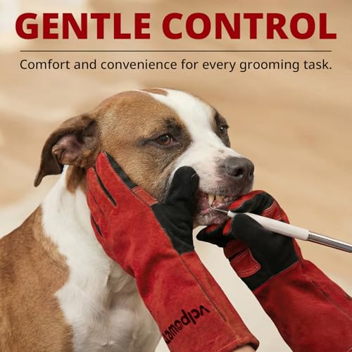 vclpower Animal Handling Gloves Size M Fit for Women & Small Hands Bite Proof Double Leather Reinforced Padding Dog,Cat Scratch,Bird Handling Falconry Gloves Grabbing Reptile Squirrel Snake Bite 16in | Size M Fit for Women & Small Hands - size: M