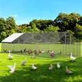 LEVELEVE Large Walk-in Chicken Coop with Chicken Run, Galvanized Poultry Enclosure with Waterproof Anti-UV Cover and Security Lock, Ideal for Rabbit, Duck, Backyard and Farm Yard，26.2'x 9.8'x 6.6' - size: 315.4"L x 117.6"W x 78.7"H
