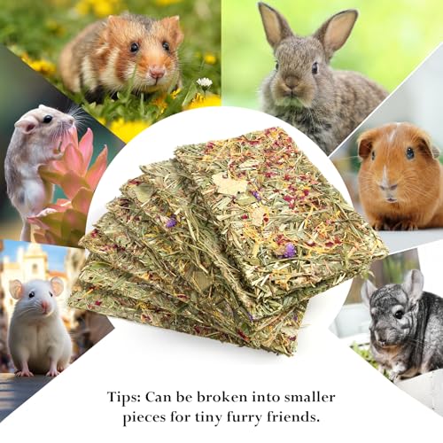 Abizoo Rabbit & Guinea Pig Treats 8 Pack Large Timothy Hay Chips | Bunny Chew Toys, Herbal Flowers, Vitamins and Minerals, Timothy Hay Forage Mix