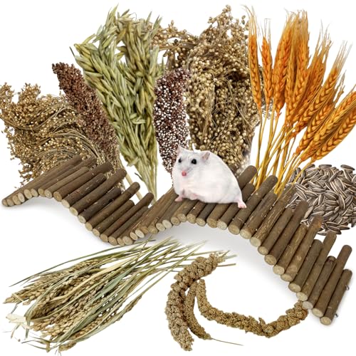 Tfwadmx Hamster Ladder Bridge & Small Animal Natural Ear of Grain Spray Hamster Bedding Habitat Decor Flexible Bendy Hamster Climbing Toy for Dwarf Syrian Mice Gerbils - size: 19.7 x 3.9 inches