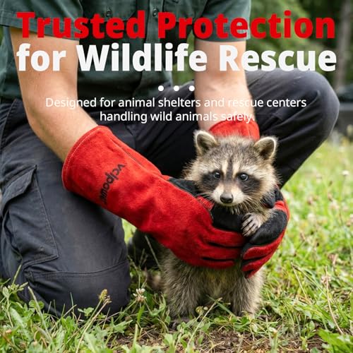 vclpower Animal Handling Gloves Size L Fit for Men & Large Hands Bite Proof Double Leather Reinforced Padding Dog,Cat Scratch,Bird Handling Falconry Gloves Grabbing Reptile Squirrel Snake Bite 16in | Size L Fit for Men & Large Hands - size: L