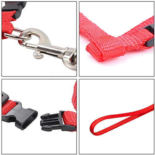 6 Pack Adjustable Cat Leash Harness Leash,Bunny Harness Leash for Pet Safety Walking Running Jogging,HarnessLeash for Bunny cat Puppy Kitten Ferret and Other Small Pet Animals