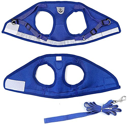 FEimaX Dog Harness and Leash Set for Walking, Soft Mesh Adjustable Easy Control Lightweight Cat Vest Harnesses with Reflective Strips, Escape Proof Small Dogs Cats Vests (Blue, X-Small) - color: Blue, size: X-Small