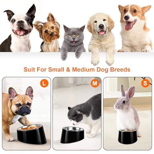 Tilted Dog Bowl Non-Slip & Non-Spill Pet Feeder with Elevated Detachable Melamine Stand, Easy to Get Food Dog Dish, S/100ml Black - color: Black, size: Small(100ml)