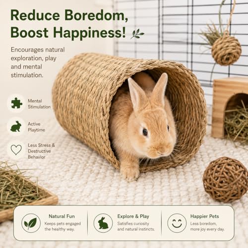 PEMAR Natural Seagrass Bunny Tunnel - Handwoven Rabbit Hideaway & Edible Grass House - Safe Chew Toy, Bed for Guinea Pigs, Chinchillas, Rats & Indoor Bunnies - Small Animal Enrichment (9x8.3x6.3”)