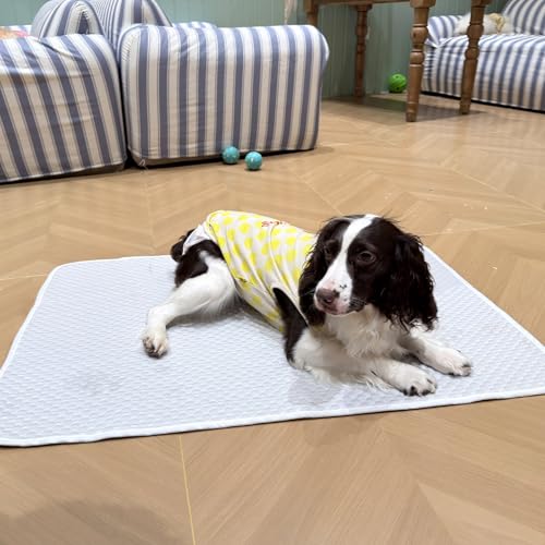 Dog Cooling Mat 38"x26" +20% Large for Medium Dogs, M | Chew-Resistant, Non-Slip & Machine Washable, Ice-Silk Self-Cooling Pad(Q-Max>0.4), Leak-Proof TPU, Crate Indoor Outdoor - size: Medium 38"x26"