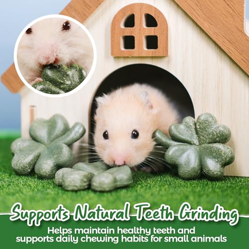 TEEWY Hamster Toys, Guinea Pig Chew Toys with Natural Timothy Hay for Guinea Pigs, Chinchillas, Hamsters, Gerbils and Other Small Pets, Teeth Grinding Toys, 8PCS，Clover-Shaped
