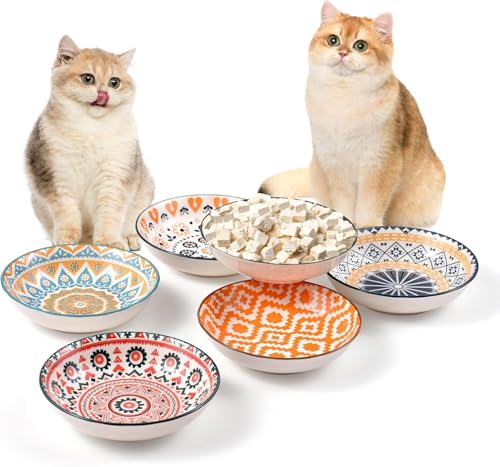 Cat Food Bowl, 6 Pack Ceramic Cat Dishes for Food & Water, Kitten Bowls Set | 5.5" Shallow Feeding Bowls for Wet Meals, Kibble & Water, Whisker Friendly Wide Plates for Cats, Dishwasher & Microwave Safe - size: Boho–6 Pack