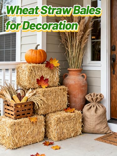Acostop Natural Dry Wheat Straw for Garden Mulch Stray Cats Dogs Shelter | 1 LB Clean Soft Warm Chicken Coop Yard Farm Pets Bedding, Decorative Straw Bale, Landscaping Weed Cover - size: 1 LB