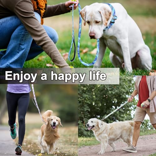 6ft Dog Leash with Two Padded Handles, Heavy Duty Strong Nylon Pet Leash with Soft Neoprene Handle for Medium and Large Dogs, Blue Sunset - color: Blue Sunset, size: 1 in x 6 ft