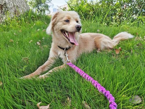 5FT Bungee Dog Leash Shock Absorbing Reflective Nylon Lead 2cm Wide | Soft Handle- Lightweight- Anti-Pull Training for Small/ Medium Dogs- 6 Colors (purple) - color: Purple