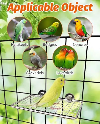 BNOSDM Bird Perch Platform 2 Pcs Stainless Steel Grid Parrot Perches Stand Shelf Parrots Platform Perch Small Birds Cage Accessories for Parakeets, Budgies, Conures, Cockatiels, Lovebirds (S)