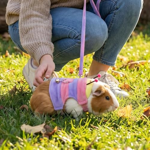 Adjustable Caterpillar Premium Plush Harness&Leaf Set – Soft Restriction-Free Vest for Ferrets,Guinea Pigs, Lizards, Rabbits,Squirrel, Kittens,Teacup Chihuahuas, Puppies|Safety Bell(Caterpillar-Pink) - color: Caterpillar-Pink