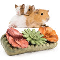 TEEWY Guinea Pig Chew Toys, Prevent Teeth Overgrowth, Natural Timothy Grass & Vegetables, Hamster Chew Toys, Guinea Pig Toys, Chinchilla Toys, 4PCS, Grass Patch & Flowers - style: 4PCS-Grass Patch & Flowers