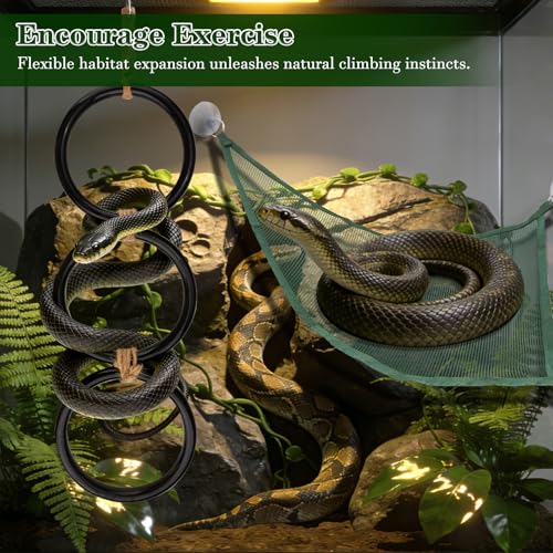Snake Climbing Rings and 2PCS Hammock for Ball Python, Enrichment Toys for Snake, Reptiletank Cage Decor Habitat Accessories, Fun Exercise and Resting Toy for Chameleon, Gecko, Lizard, Parrot