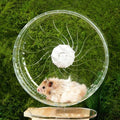 Silent Hamster Wheel, 8.3 Inch Clear Wheel for Dwarf Hamsters | Quiet clear wheel with adjustable stand and anti-slip track, sized for dwarf hamsters, mice, and other small pets. - size: 8.3"