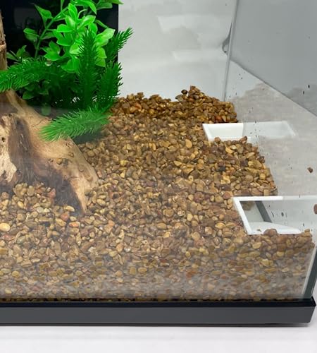 Aquarium Underground Tunnel | Fish & Shrimp Hideout for Aquariums | Unique Underground Viewing Tunnel | Made in USA (White) - color: White