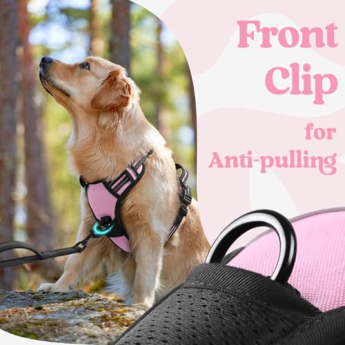 rabbitgoo Dog Harness Small Sized, Updated Easy On & Off with 3 Buckles | No Pull No Choke, Walking with 2 Clips and Handle, Adjustable Soft Reflective, Pink, Small - color: Pink, size: Small