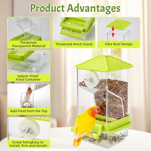 Rypet No-Mess Bird Feeder and Water Dispenser Set for Small Birds | Automatic Bird Feeder, Transparent Acrylic Food Container, Helps Reduce Seed Scatter, for Parakeet Cockatiel Parrot Canary - color: A80 Green Feeder + Drinking Bottle