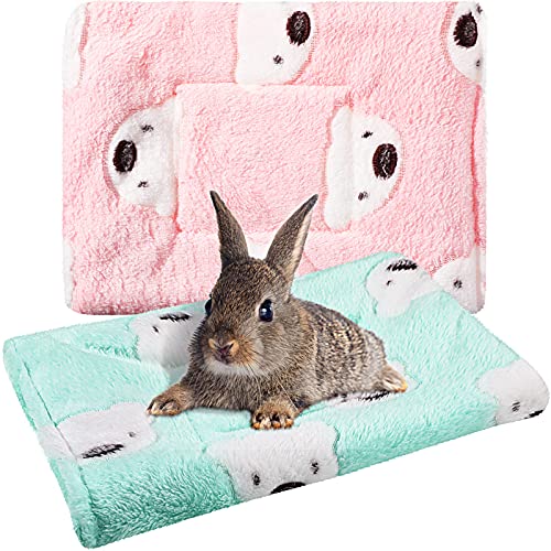 Jetec 2 Pieces Guinea Pig Bed Rabbit Bed Warm Small Animal Hamster Bunny Mats Winter Warm for Bunny Hamster Squirrel Hedgehog Chinchilla Small Animal Accessories(Green, Pink,Bear Pattern) - color: Green, Pink