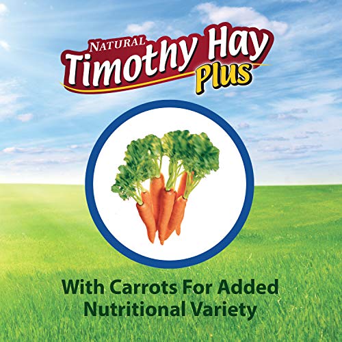 Kaytee Timothy Hay Plus Carrots for Pet Guinea Pigs, Rabbits & Other Small Animals, 24 oz - size: 1.5 Pound (Pack of 1)