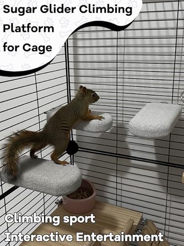 Chinchilla Lava Ledges Rat Climbing Platform 6 Pack Pumice Ledge Shelf Pet Chewing Grinding Toys Small Animals Cage Accessories for Totoro Squirrel Guinea Pig Hamster Gray - color: Gray, size: 6 PCS 5.11 x 2.75 x 0.98 inches