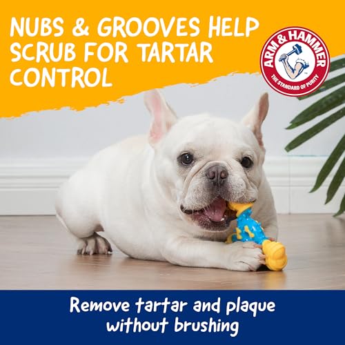 Arm & Hammer Nubbies TriBone Dental Dog Chew Toy, Peanut Butter, 24-Pk | Nylon and TPR construction, baking soda infused, reduces plaque and tartar buildup, ideal for moderate chewers - color: Blue & Yellow TriOBone, size: 24 Count
