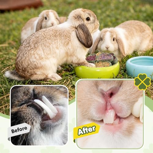 Abizoo Rabbits Chew Toys for Teeth - Natural Herbal Treats with Timothy Hay, Alfalfa, Roses & Calendula for Bunnies, Guinea Pigs, Chinchilla, Hamsters 2Pcs 3.35 inch