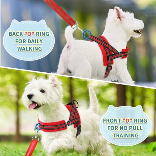 SlowTon No Pull Small Dog Harness and Leash Set with Front Clip | Soft Padded, Neck & Chest Adjustable, Lightweight, Anti-Twist, Puppy Vest Harness Pet Lead Combo for Small Medium Dog, R XXS - color: Red, size: XX-Small