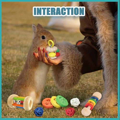 QWR 9PCS Wooden Bunny Toys,Safe Rabbit & Guinea Pigs Teeth Grinding Toy for Chinchillas, Hamsters & Small Animals - Indoor & Outdoor - size: 9PCS