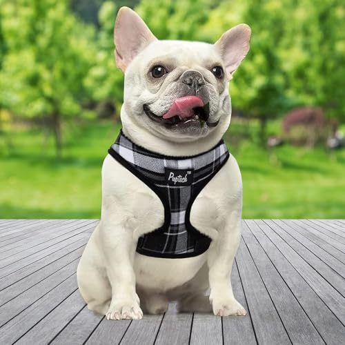 PUPTECK Soft Mesh Dog Harness and Leash Set Pet Puppy Cat Comfort Padded Vest No Pull Harnesses, Black, S - color: Black, size: S (NECK: 12", CHEST: 14"-18")