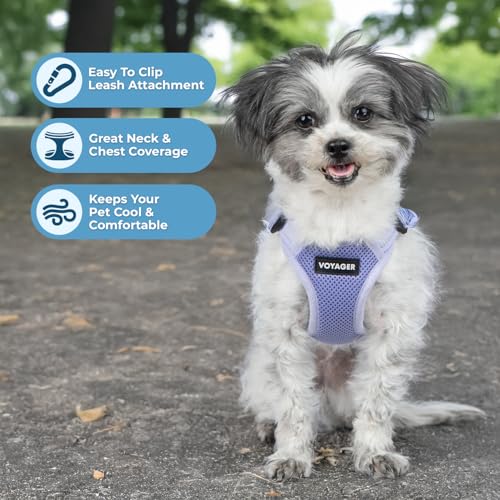 Voyager Step-in Flex Adjustable Dog Harness - Lavender, Large | 20 - 25" in Chest, Fully Adjustable, Reflective Bands, All Weather Breathable Air Mesh, Lightweight, Fast Drying - color: Harness (Lavender), size: L